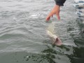 bodden 2013 0085