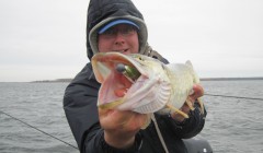 bodden 2013 0086