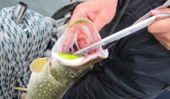 bodden 2013 0087