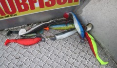bodden 2013 0091