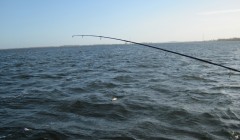 bodden 2013 0099
