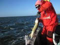 bodden 2013 0103