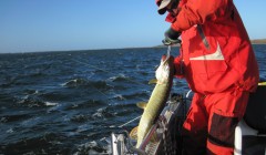bodden 2013 0103