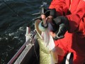 bodden 2013 0106