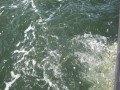bodden 2013 0107