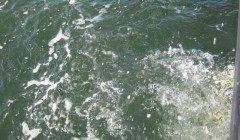 bodden 2013 0107