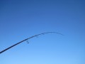 bodden 2013 0108