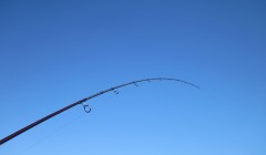 bodden 2013 0108