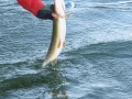 bodden 2013 0111