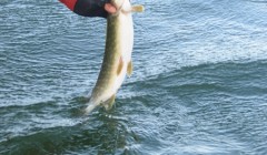 bodden 2013 0111