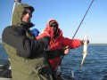 bodden 2013 0112
