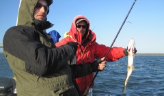 bodden 2013 0112