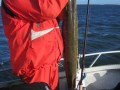 bodden 2013 0121