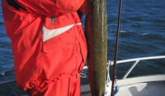 bodden 2013 0121
