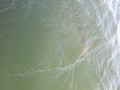 bodden 2013 0126