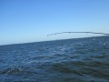 bodden 2013 0127