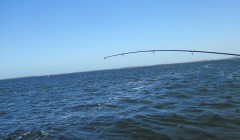 bodden 2013 0127