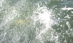 bodden 2013 0129