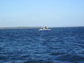 bodden 2013 0130