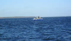 bodden 2013 0130