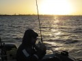 bodden 2013 0135