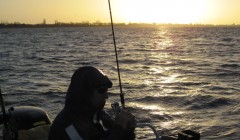 bodden 2013 0135