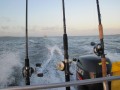 bodden 2013 0137