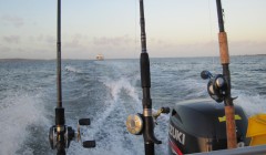 bodden 2013 0137