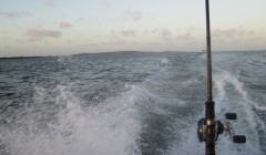 bodden 2013 0138